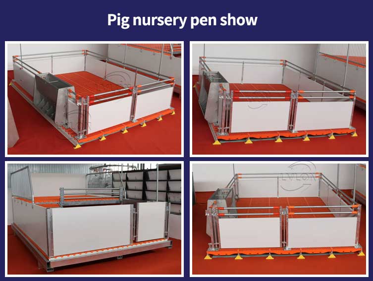 Pig-nursery-pen-show Pig-nursery-pen-show
