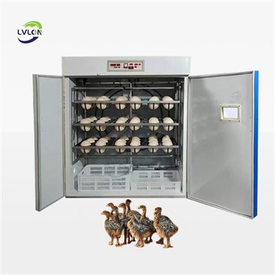 Commercial Ostrich Egg Incubator